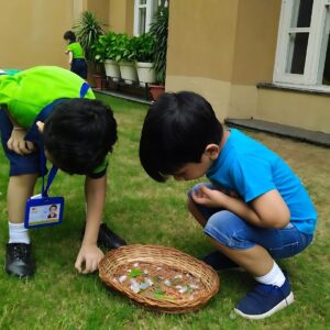 Children collecting leaves at The Nurtuary Preschool, the best play school in Panchkula.